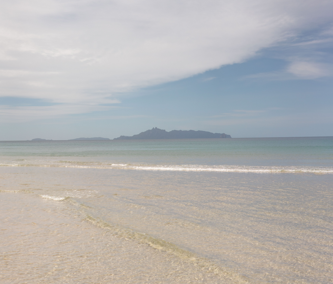 Finding Happiness in Stillness