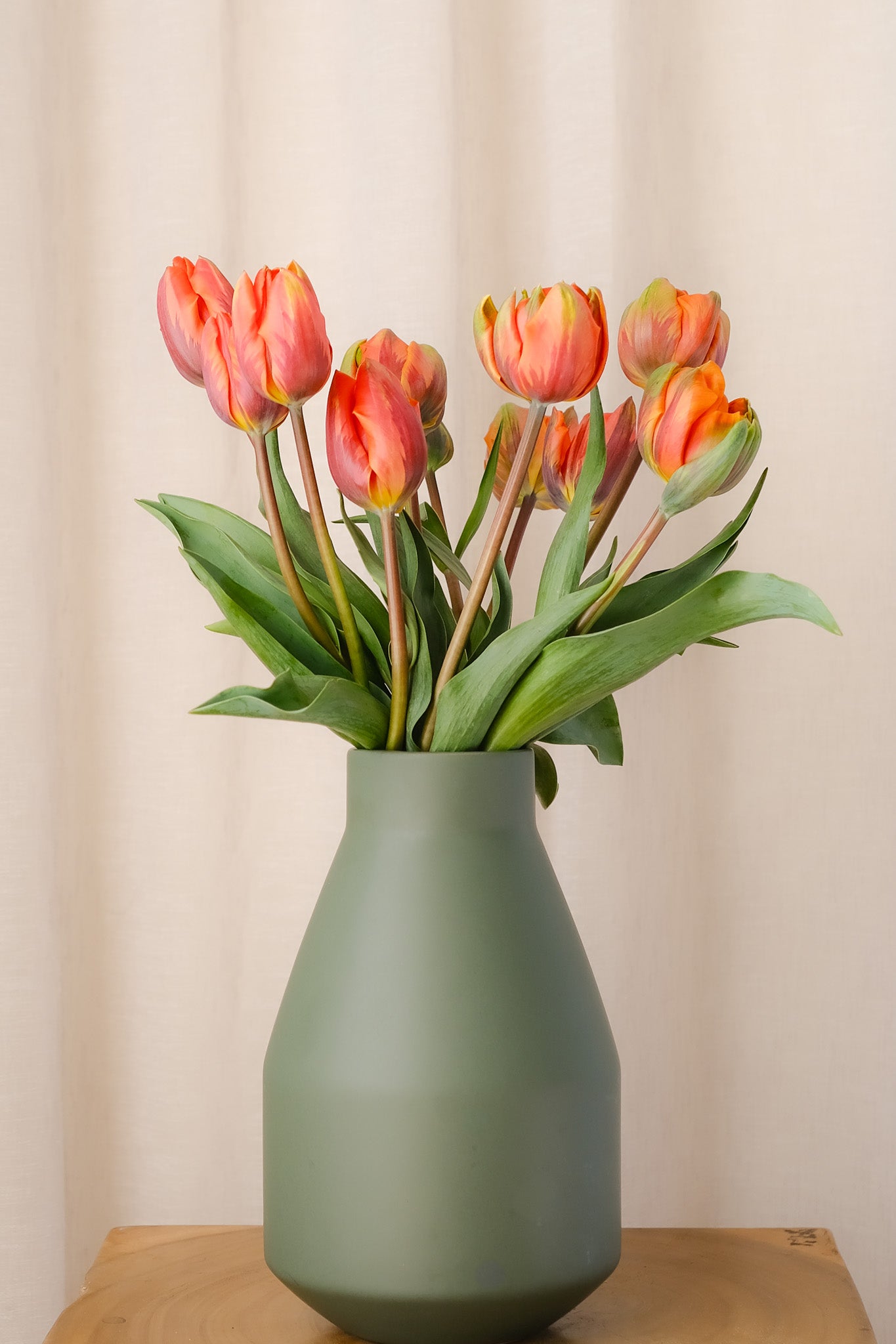 Fresh Tulips / Mixed