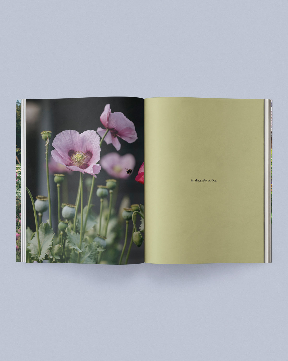 Sage Journal Vol. 2 [Pre-order]