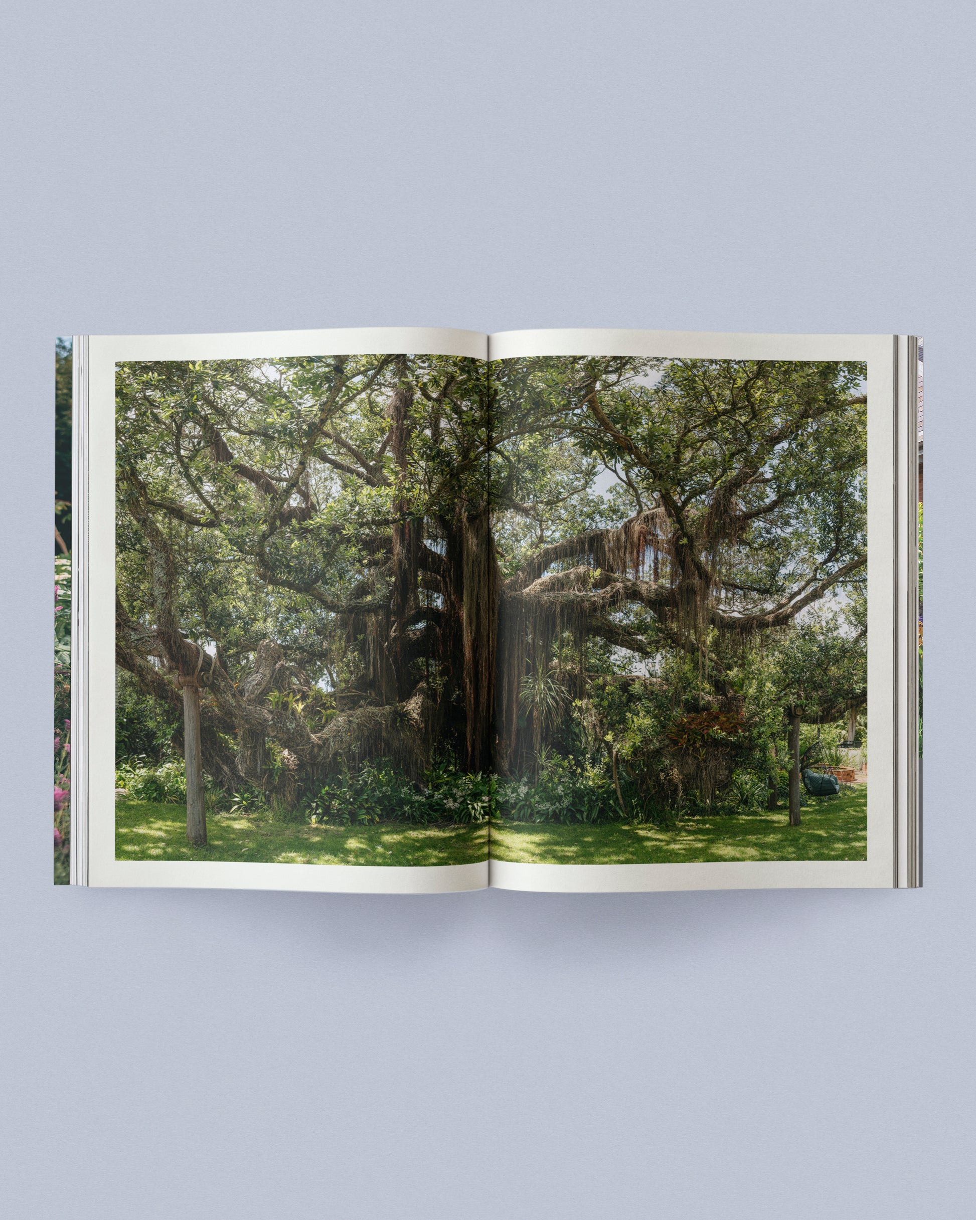 Sage Journal Vol. 2 [Pre-order]