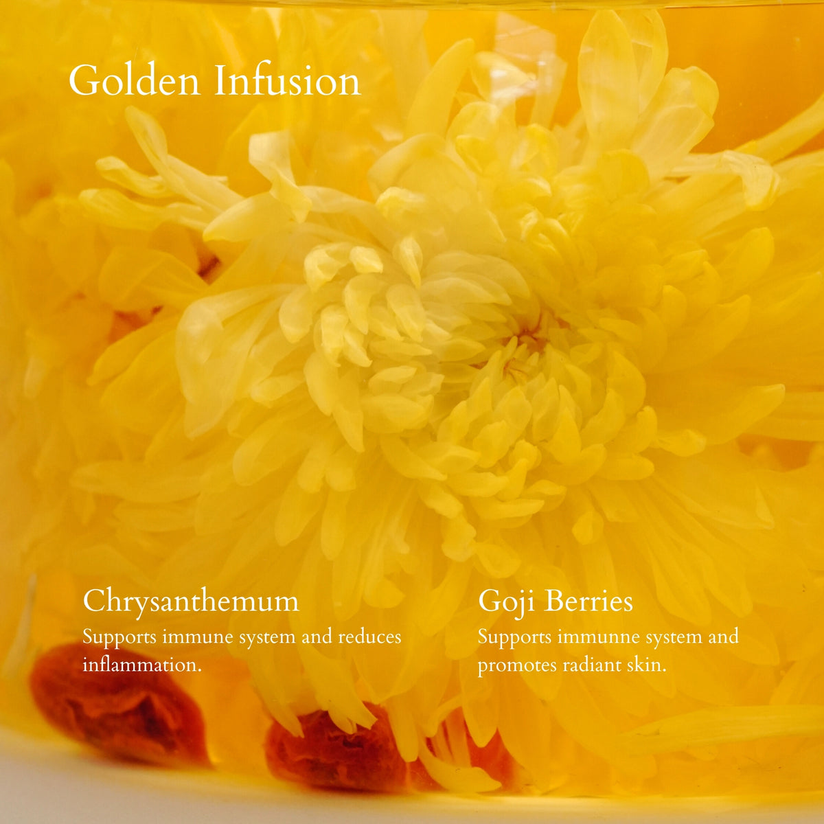 Yellow chrysanthemum and goji berries with text on a yellow background