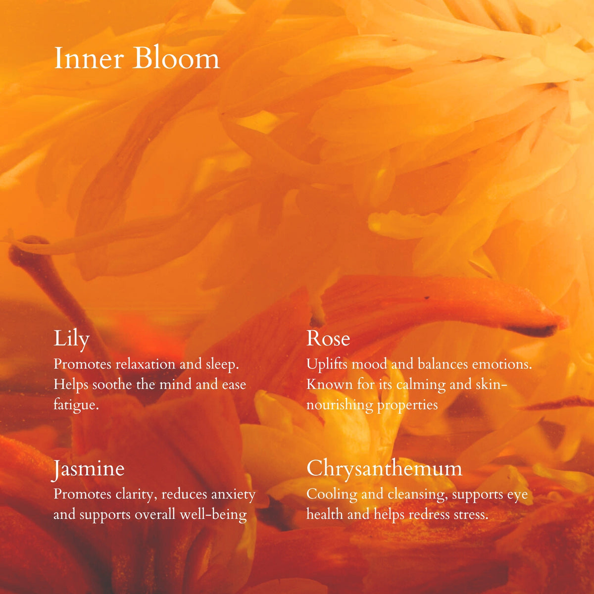 Close-up of Inner Bloom Tea with flowers text describing their benefits